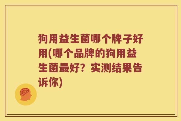 狗用益生菌哪个牌子好用(哪个品牌的狗用益生菌最好？实测结果告诉你)