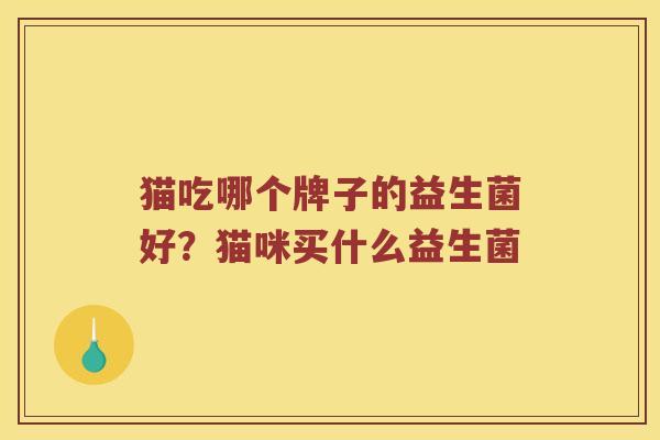 猫吃哪个牌子的益生菌好?猫咪买什么益生菌 猫吃哪个牌子的益生菌好?猫咪买什么益生菌