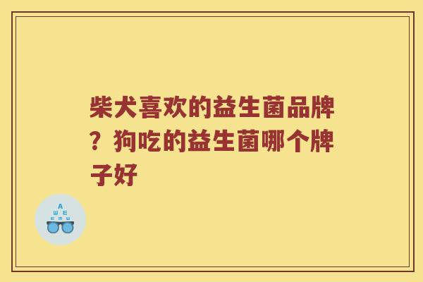 柴犬喜欢的益生菌品牌？狗吃的益生菌哪个牌子好