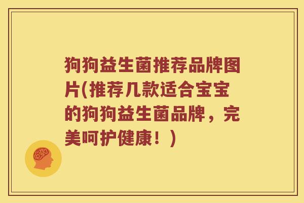 狗狗益生菌推荐品牌图片(推荐几款适合宝宝的狗狗益生菌品牌，完美呵护健康！)