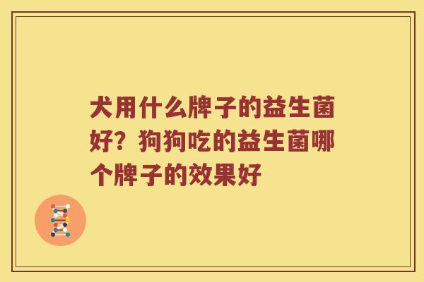 犬用什么牌子的益生菌好？狗狗吃的益生菌哪个牌子的效果好