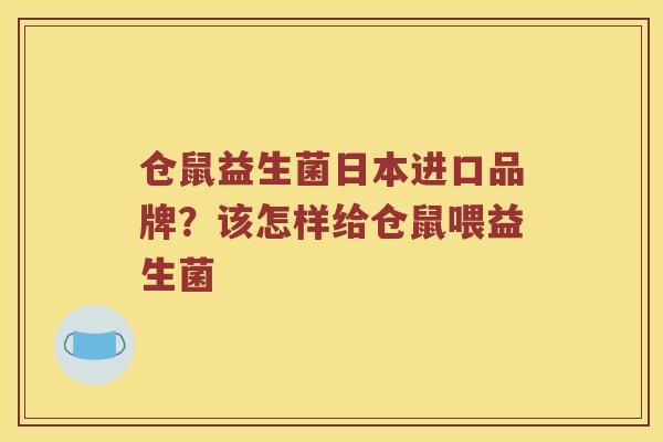 仓鼠益生菌日本进口品牌？该怎样给仓鼠喂益生菌