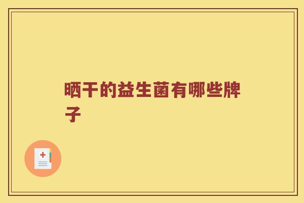 晒干的益生菌有哪些牌子