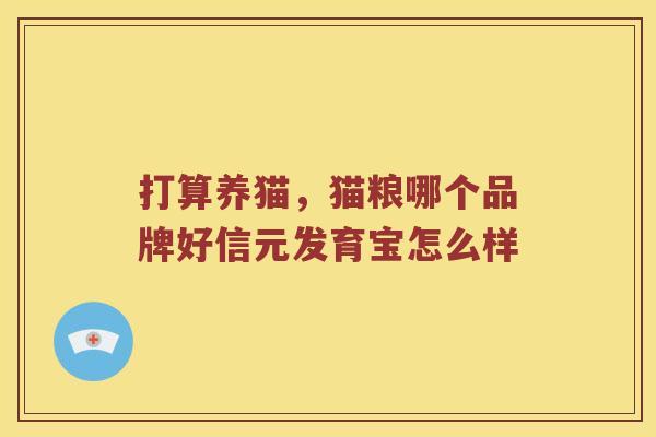 打算养猫，猫粮哪个品牌好信元发育宝怎么样