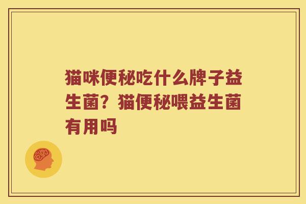 猫咪便秘吃什么牌子益生菌？猫便秘喂益生菌有用吗