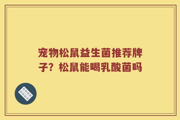 宠物松鼠益生菌推荐牌子？松鼠能喝乳酸菌吗