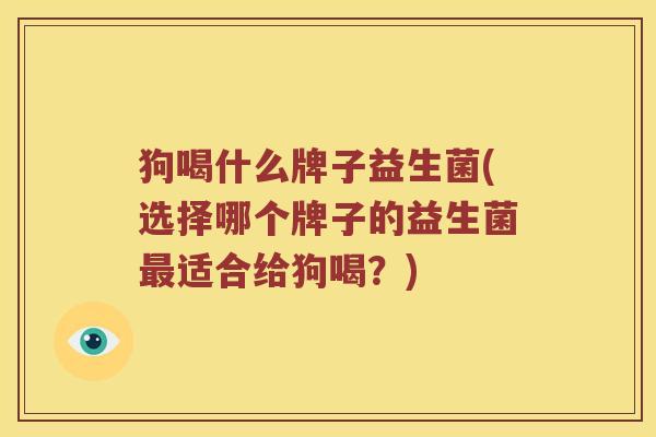狗喝什么牌子益生菌(选择哪个牌子的益生菌适合给狗喝？)