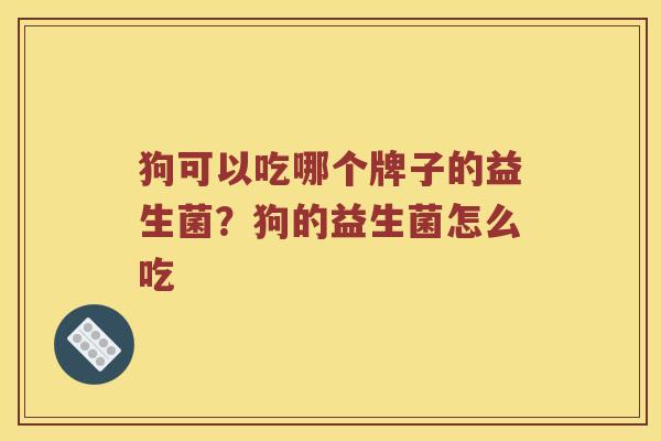 狗可以吃哪个牌子的益生菌？狗的益生菌怎么吃