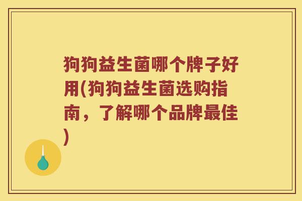 狗狗益生菌哪个牌子好用(狗狗益生菌选购指南，了解哪个品牌最佳)