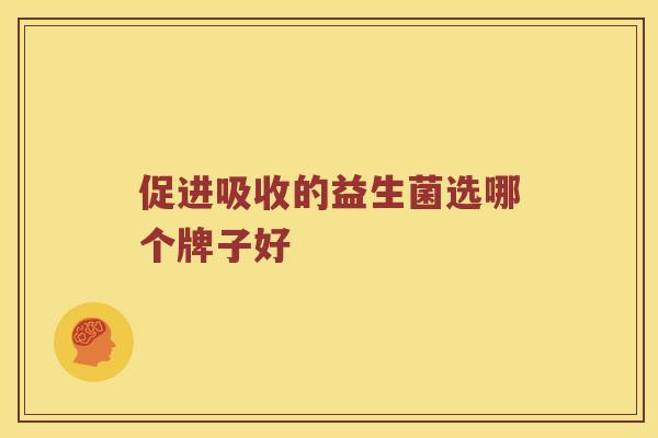 促进吸收的益生菌选哪个牌子好
