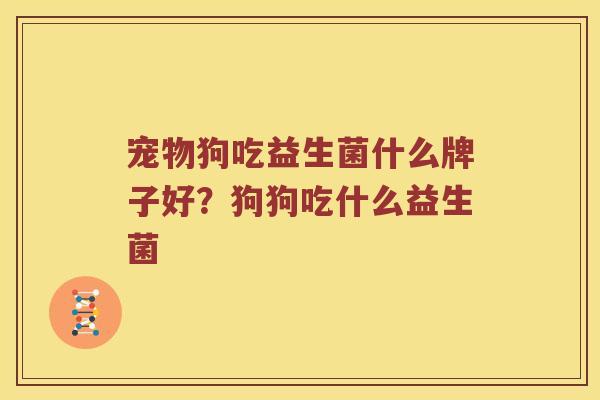 宠物狗吃益生菌什么牌子好？狗狗吃什么益生菌