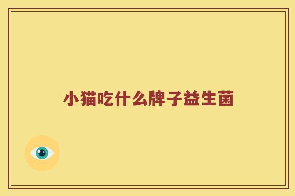 小猫吃什么牌子益生菌 小猫吃什么牌子益生菌