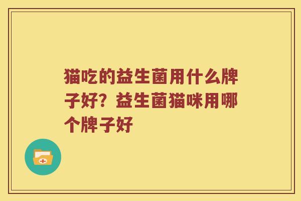 猫吃的益生菌用什么牌子好？益生菌猫咪用哪个牌子好