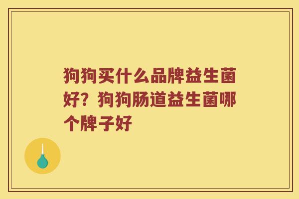 狗狗买什么品牌益生菌好？狗狗肠道益生菌哪个牌子好