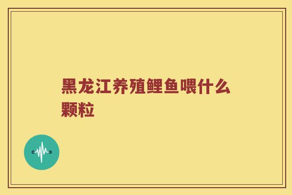 黑龙江养殖鲤鱼喂什么颗粒