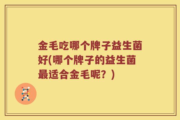 金毛吃哪个牌子益生菌好(哪个牌子的益生菌最适合金毛呢？)