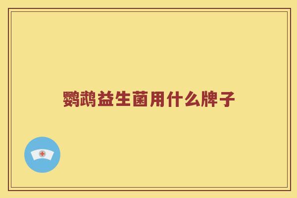 鹦鹉益生菌用什么牌子