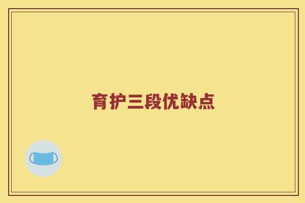 育护三段优缺点