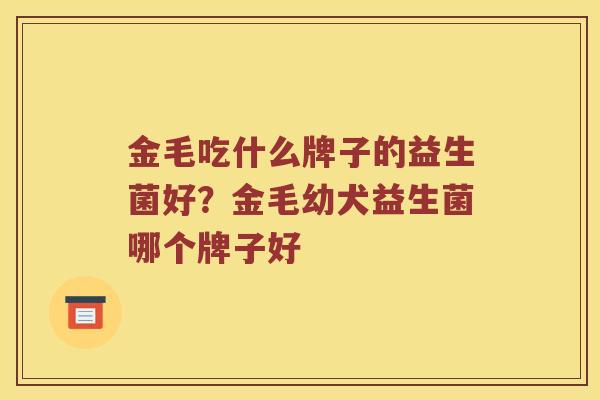 金毛吃什么牌子的益生菌好？金毛幼犬益生菌哪个牌子好
