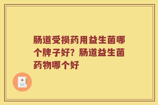 肠道受损药用益生菌哪个牌子好？肠道益生菌药物哪个好