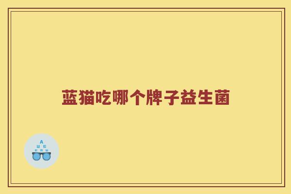 蓝猫吃哪个牌子益生菌