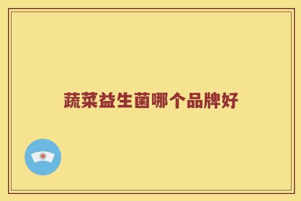 蔬菜益生菌哪个品牌好