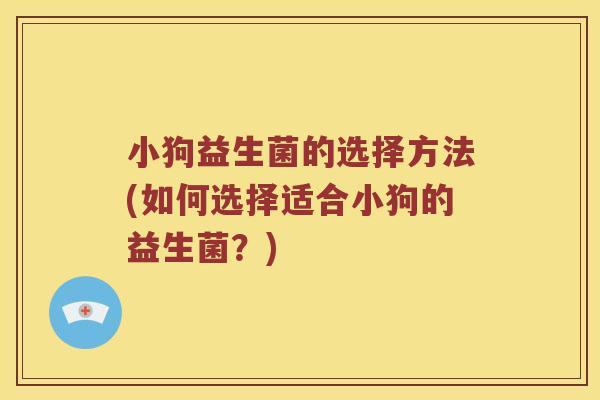 小狗益生菌的选择方法(如何选择适合小狗的益生菌？)