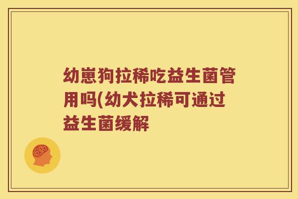 幼崽狗拉稀吃益生菌管用吗(幼犬拉稀可通过益生菌缓解