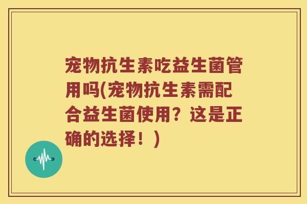 宠物抗生素吃益生菌管用吗(宠物抗生素需配合益生菌使用？这是正确的选择！)