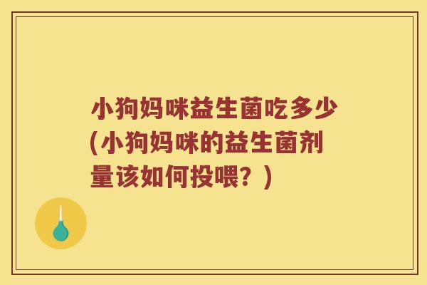 小狗妈咪益生菌吃多少(小狗妈咪的益生菌剂量该如何投喂？)