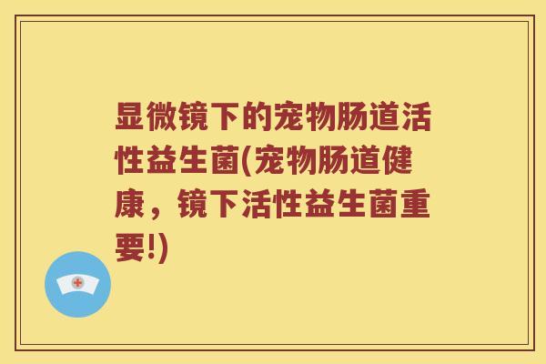 显微镜下的宠物肠道活性益生菌(宠物肠道健康，镜下活性益生菌重要!)