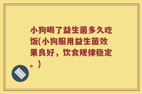 小狗喝了益生菌多久吃饭(小狗服用益生菌效果良好，饮食规律稳定。)