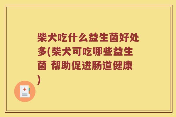 柴犬吃什么益生菌好处多(柴犬可吃哪些益生菌 帮助促进肠道健康)