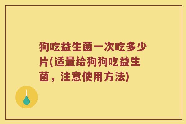 狗吃益生菌一次吃多少片(适量给狗狗吃益生菌，注意使用方法)