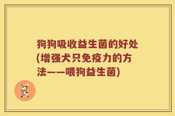 狗狗吸收益生菌的好处(增强犬只免疫力的方法——喂狗益生菌)
