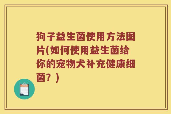 狗子益生菌使用方法图片(如何使用益生菌给你的宠物犬补充健康细菌？)