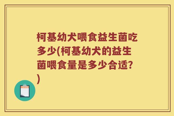 柯基幼犬喂食益生菌吃多少(柯基幼犬的益生菌喂食量是多少合适？)