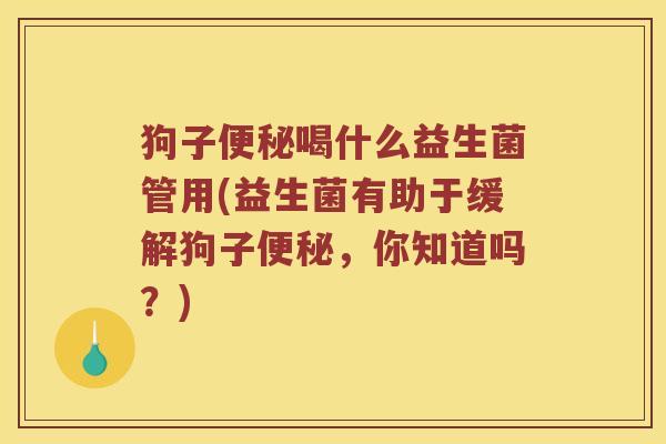 狗子便秘喝什么益生菌管用(益生菌有助于缓解狗子便秘，你知道吗？)