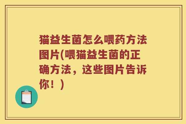猫益生菌怎么喂药方法图片(喂猫益生菌的正确方法，这些图片告诉你！)