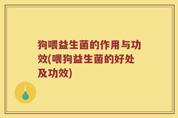 狗喂益生菌的作用与功效(喂狗益生菌的好处及功效)