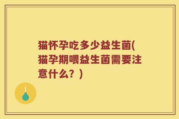 猫怀孕吃多少益生菌(猫孕期喂益生菌需要注意什么？)