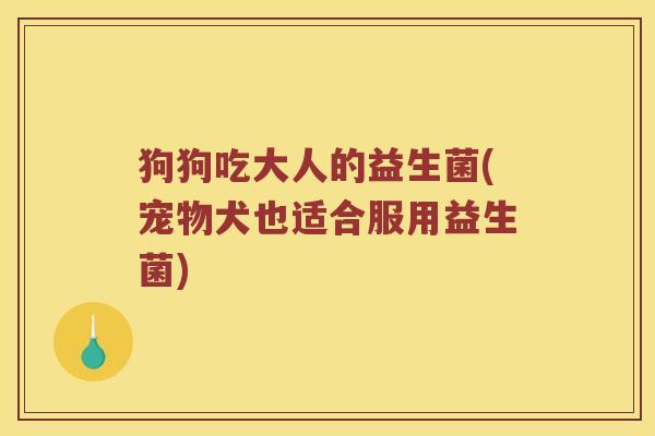 狗狗吃大人的益生菌(宠物犬也适合服用益生菌) 狗狗吃大人的益生菌(宠物犬也适合服用益生菌)