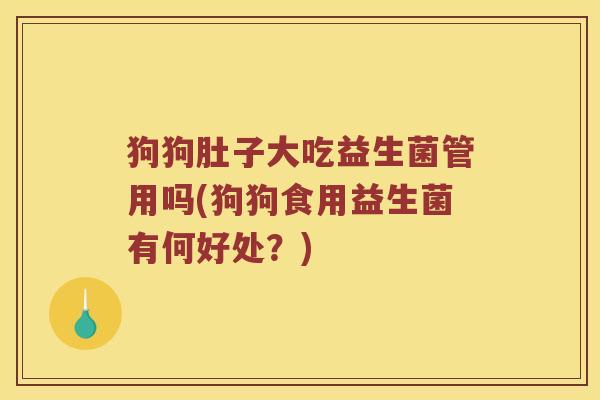狗狗肚子大吃益生菌管用吗(狗狗食用益生菌有何好处？)
