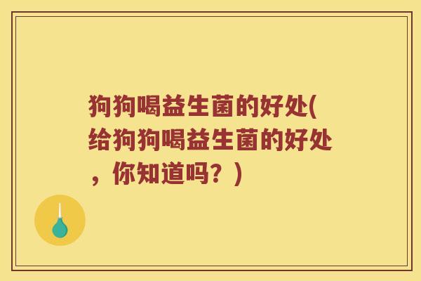 狗狗喝益生菌的好处(给狗狗喝益生菌的好处,你知道吗?) 狗狗喝益生菌的好处(给狗狗喝益生菌的好处,你知道吗?)