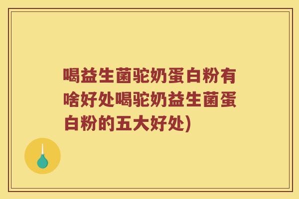 喝益生菌驼奶蛋白粉有啥好处喝驼奶益生菌蛋白粉的五大好处)