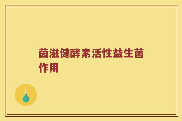 茵滋健酵素活性益生菌作用