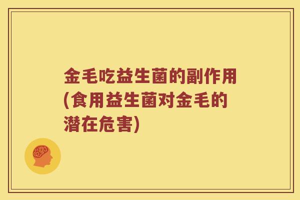 金毛吃益生菌的副作用(食用益生菌对金毛的潜在危害)