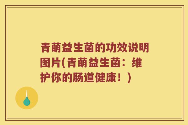 青萌益生菌的功效说明图片(青萌益生菌：维护你的肠道健康！)