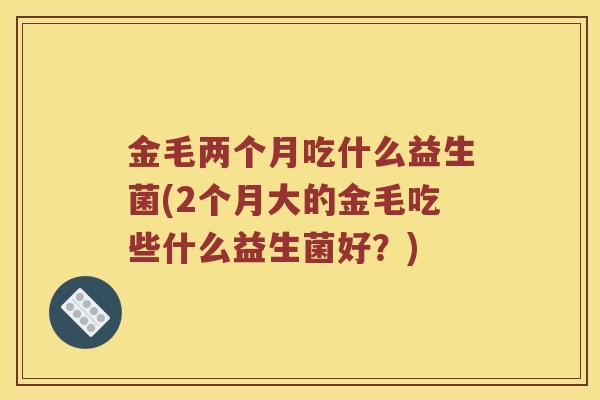 金毛两个月吃什么益生菌(2个月大的金毛吃些什么益生菌好？)