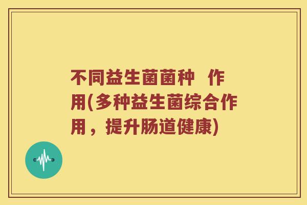 不同益生菌菌种  作用(多种益生菌综合作用，提升肠道健康)